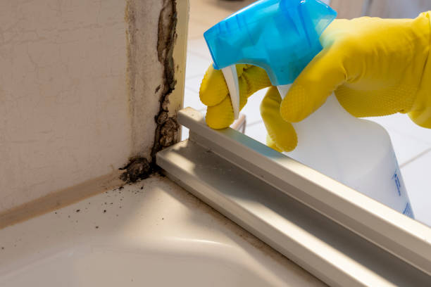 Best Residential Mold Removal  in Garner, IA